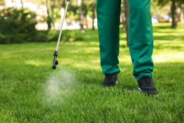Best Termite Control Services  in Salina, UT