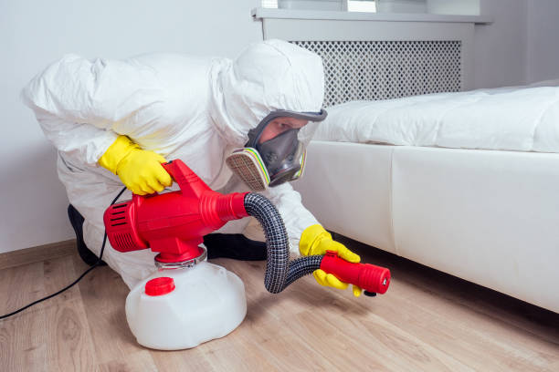 Best Local Pest Control Services  in Salina, UT